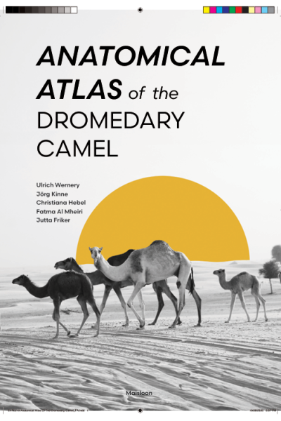 Anatomical Atlas Of The Dromedary Camel